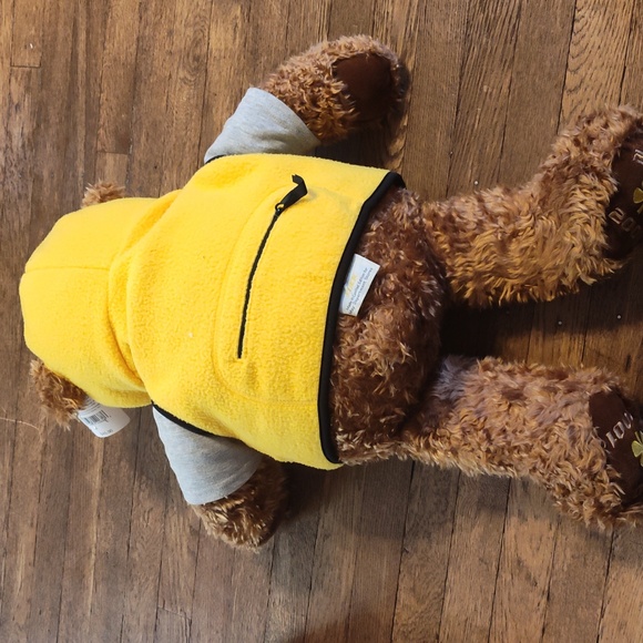 Vintage Gund Wish Bear Limited Edition Luck Bear 2000 2001 EUC - Picture 9 of 12